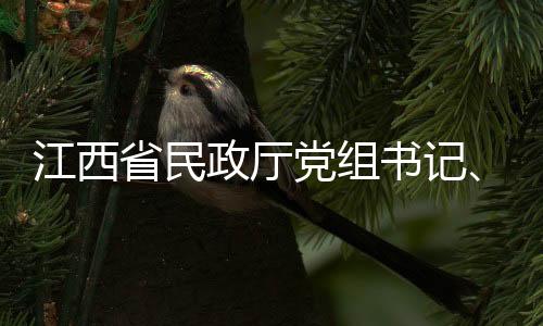 江西省民政廳黨組書記、廳長李明生接受審查調(diào)查