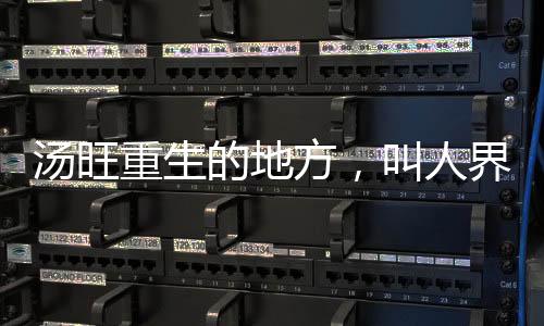 湯旺重生的地方，叫人界