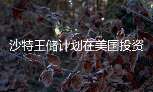 沙特王儲計劃在美國投資高達6000億美元，全球金融新動向解析