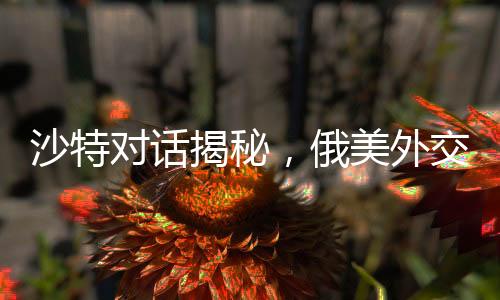 沙特對話揭秘，俄美外交角逐背后究竟談些什么？并無烏克蘭議題