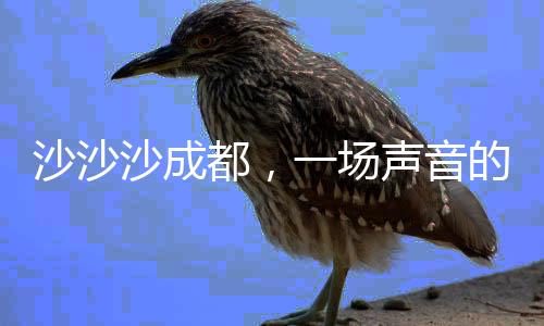 沙沙沙成都，一場(chǎng)聲音的盛宴，一次城市的脈動(dòng)