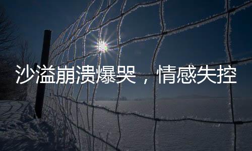 沙溢崩潰爆哭，情感失控背后的故事與觸動(dòng)