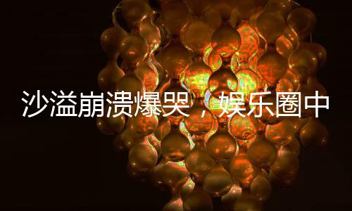 沙溢崩潰爆哭，娛樂圈中的真情流露觸動(dòng)人心
