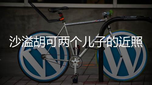 沙溢胡可兩個(gè)兒子的近照，家庭幸福展現(xiàn)