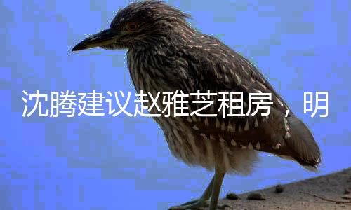沈騰建議趙雅芝租房，明星置業(yè)觀的新思考
