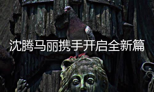 沈騰馬麗攜手開啟全新篇章——探尋他們的新身份與未來(lái)展望