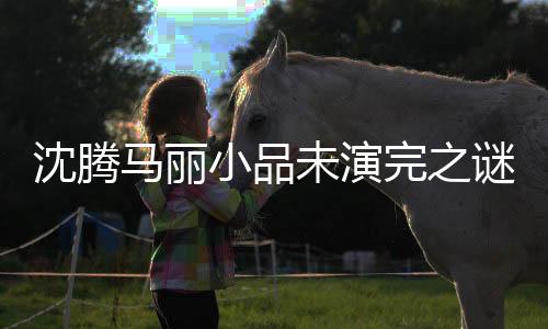 沈騰馬麗小品未演完之謎揭曉，導演組的回應(yīng)揭秘幕后故事