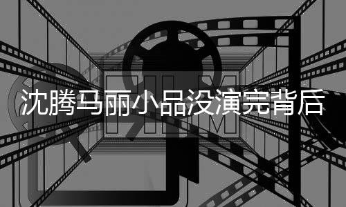 沈騰馬麗小品沒演完背后的故事與期待