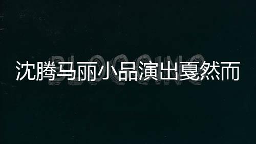 沈騰馬麗小品演出戛然而止，引發(fā)觀眾熱議的背后原因