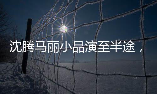 沈騰馬麗小品演至半途，引發(fā)期待熱議，觀眾期待后續(xù)精彩展現(xiàn)