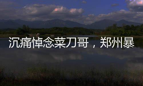 沉痛悼念菜刀哥，鄭州暴雨救人英雄病逝
