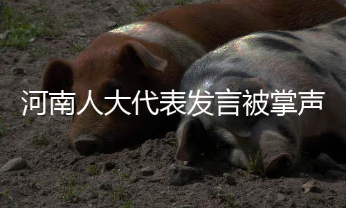 河南人大代表發(fā)言被掌聲打斷三次，現(xiàn)場觀察與深度解讀