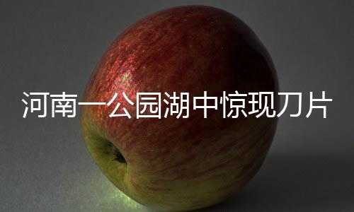 河南一公園湖中驚現(xiàn)刀片，引發(fā)公眾質(zhì)疑