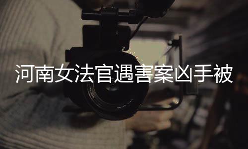 河南女法官遇害案兇手被依法執(zhí)行死刑，正義終得伸張