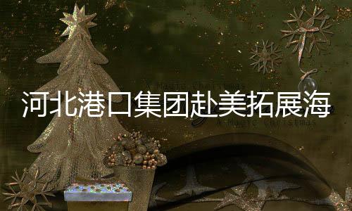 河北港口集團(tuán)赴美拓展海運(yùn)“朋友圈”