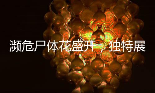 瀕危尸體花盛開，獨特展覽吸引數(shù)千人排隊參觀