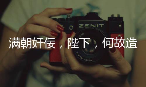 滿朝奸佞，陛下，何故造反？