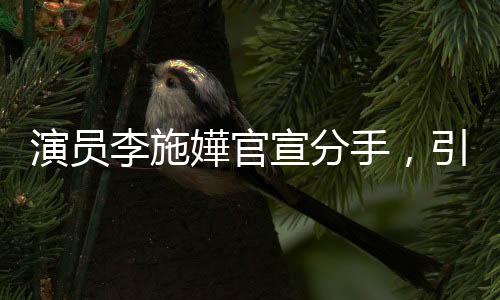 演員李施嬅官宣分手，引發(fā)關(guān)注熱議