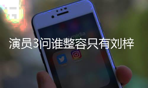 演員3問誰整容只有劉梓晨站起來，一場關(guān)于真實與自我表達的探討