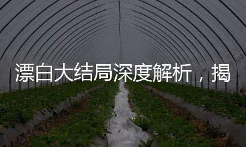 漂白大結(jié)局深度解析，揭開最后的秘密
