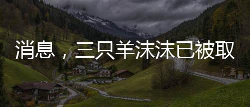 消息，三只羊沫沫已被取保候?qū)彛罄m(xù)情況備受關(guān)注