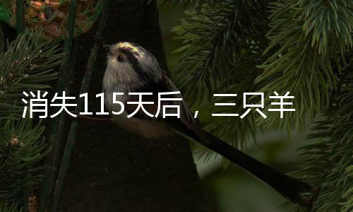 消失115天后，三只羊復播賣年貨，重歸直播界，年貨銷售火熱