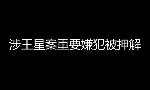 涉王星案重要嫌犯被押解回國事件紀(jì)實(shí)，揭示案件內(nèi)幕與追責(zé)過程（附十位嫌犯詳細(xì)信息）