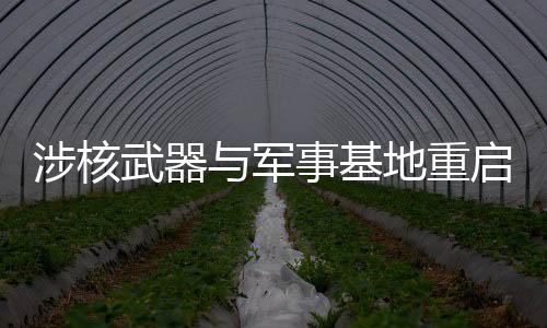 涉核武器與軍事基地重啟，馬克龍決策背后的動(dòng)因分析