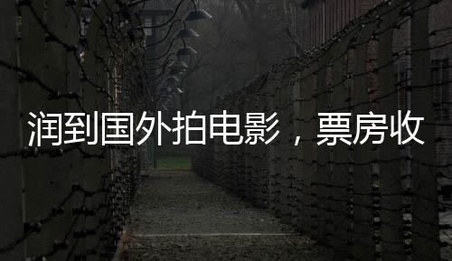 潤到國外拍電影，票房收割全世界