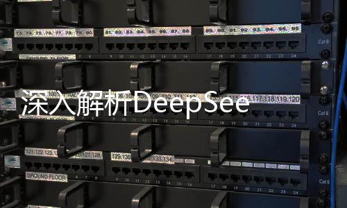 深入解析DeepSeek，探究其對寒假作業(yè)輔助的能力