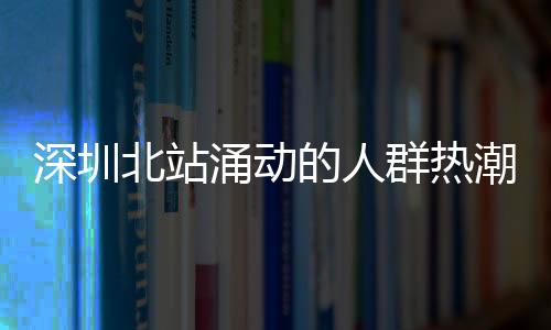 深圳北站涌動(dòng)的人群熱潮，一瞥見(jiàn)繁忙的交通樞紐