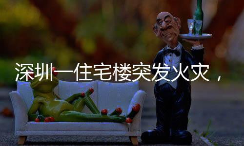 深圳一住宅樓突發(fā)火災，現(xiàn)場黑煙直沖云霄
