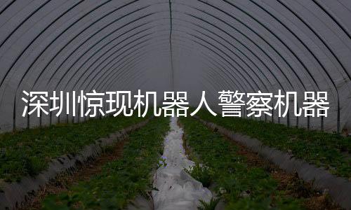 深圳驚現(xiàn)機器人警察機器人網(wǎng)格員，智能警務(wù)引領(lǐng)未來