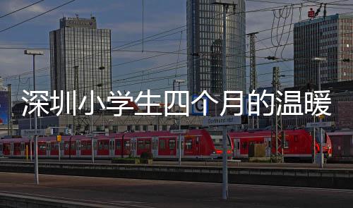 深圳小學(xué)生四個月的溫暖之筆，手寫信背后的情感與教育共鳴之旅——4208封手寫信觸人心弦