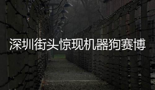 深圳街頭驚現(xiàn)機(jī)器狗賽博舞獅——人工智能與城市文化交融新亮點(diǎn)
