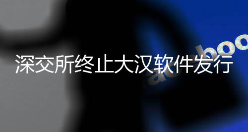 深交所終止大漢軟件發(fā)行上市審核，業(yè)內(nèi)反響及相關(guān)解析