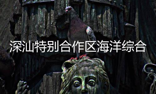 深汕特別合作區(qū)海洋綜合執(zhí)法大隊成功救援兩相撞遇險漁船