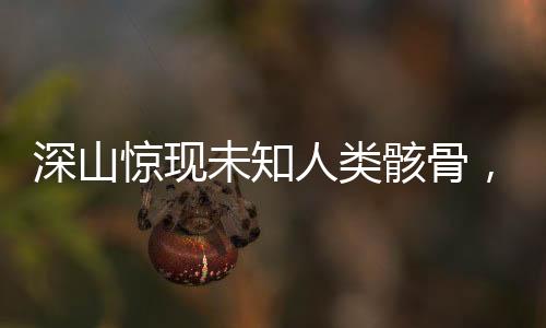 深山驚現(xiàn)未知人類(lèi)骸骨，考古學(xué)專(zhuān)家緊急介入調(diào)查