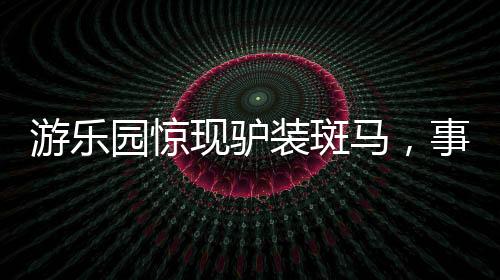 游樂(lè)園驚現(xiàn)驢裝斑馬，事件背后的反思與探討