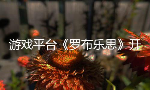 游戲平臺(tái)《羅布樂(lè)思》開(kāi)發(fā)商2024年收入增長(zhǎng)29%