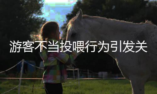 游客不當(dāng)投喂行為引發(fā)關(guān)注，導(dǎo)致12只海龜接受胃鏡檢查
