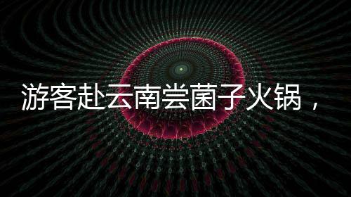 游客赴云南嘗菌子火鍋，驚嘆于獨(dú)特食用規(guī)則