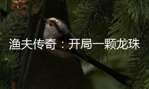 漁夫傳奇：開局一顆龍珠