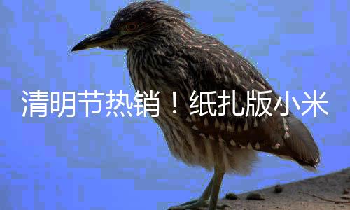 清明節(jié)熱銷！紙扎版小米su7引領(lǐng)潮流，全新體驗備受矚目