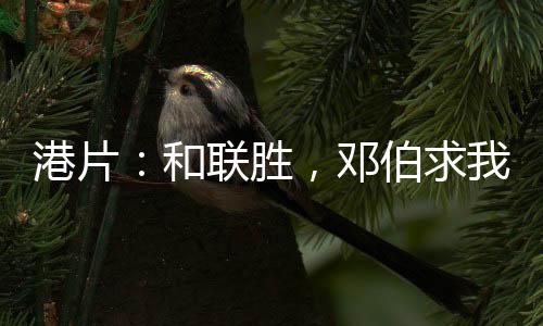 港片：和聯(lián)勝，鄧伯求我做龍頭