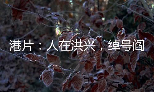 港片：人在洪興，綽號(hào)閻王