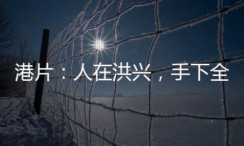 港片：人在洪興，手下全是兇人！