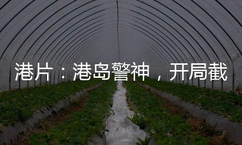 港片：港島警神，開局截胡何敏