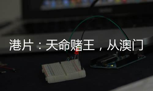 港片：天命賭王，從澳門豪賭開始