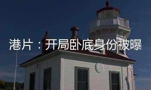 港片：開局臥底身份被曝光